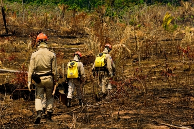 MT vai receber R$ 23,8 milh&otilde;es para combater queimadas e desmatamento