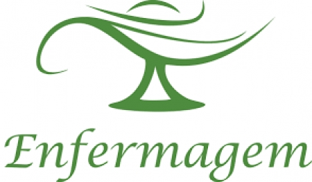 Gestores receberam orienta&ccedil;&atilde;o referente ao pagamento do Piso Nacional da Enfermagem