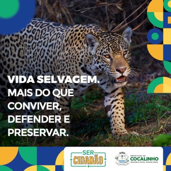 VIDA SELVAGEM, MAIS QUE CONVIVER, RESPEITAR E PRESERVAR